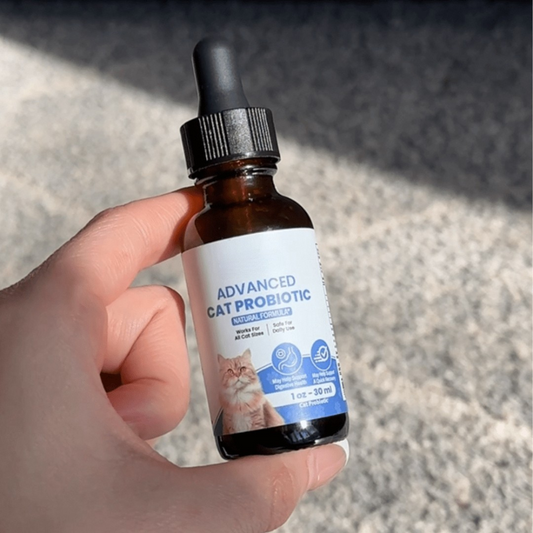 Otter Advanced Cat Probiotic