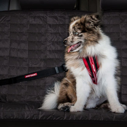 The Bungee Dog Seat Belt