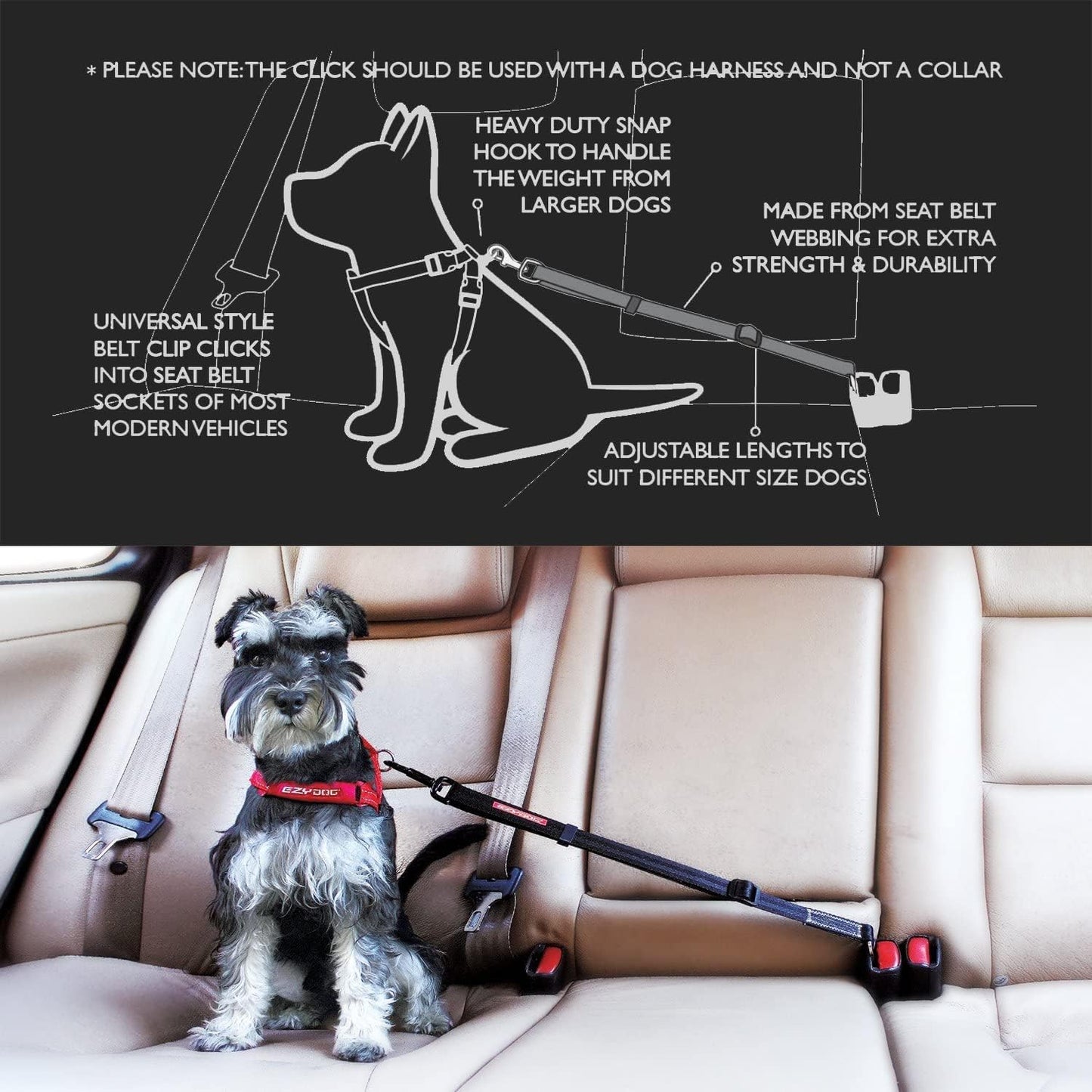 The Bungee Dog Seat Belt