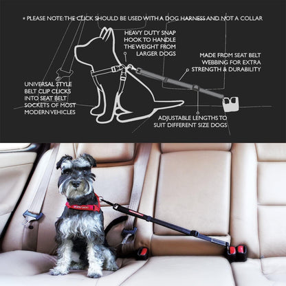 The Bungee Dog Seat Belt