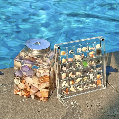 Magnetic Seashell Display Box