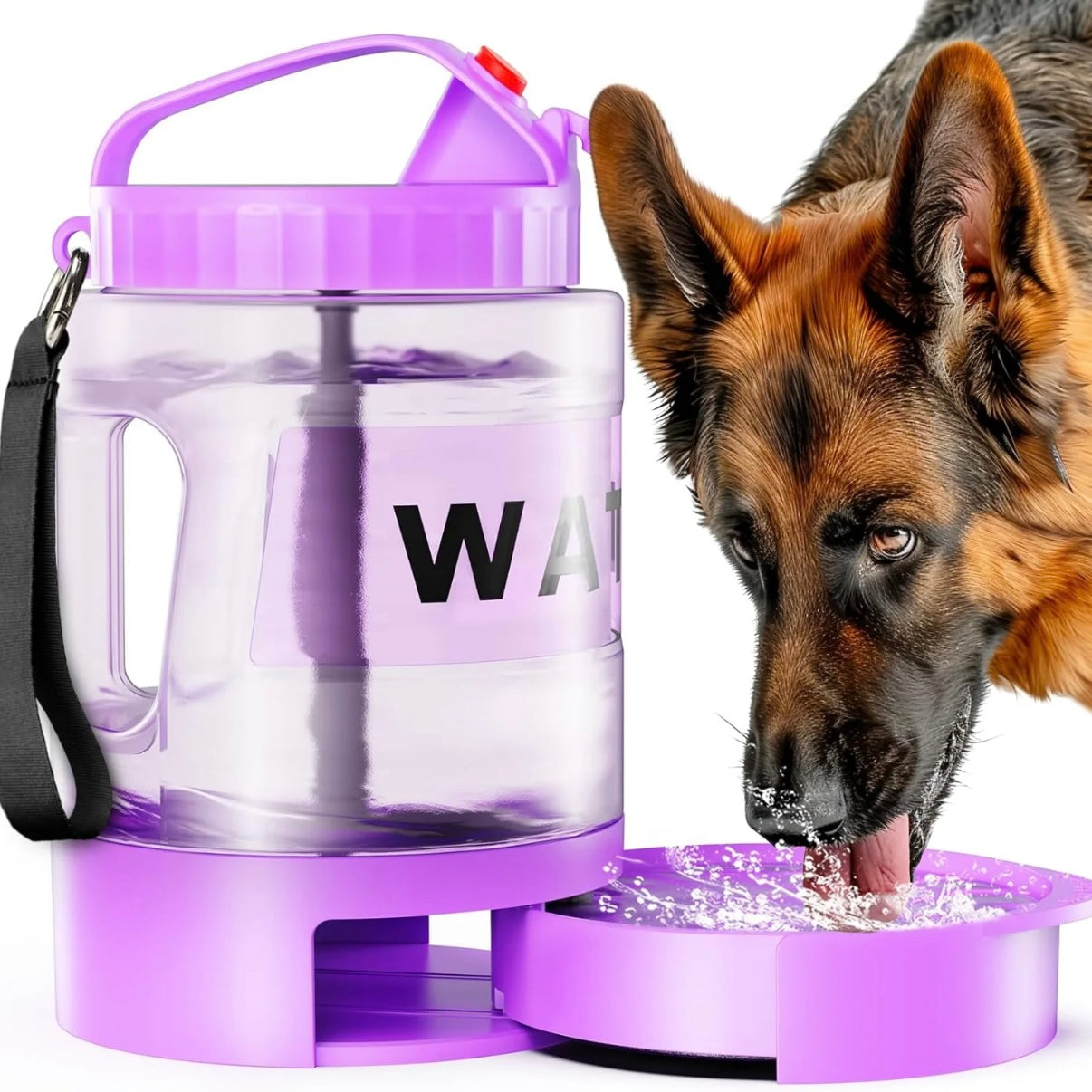 Water Bowl Dispenser
