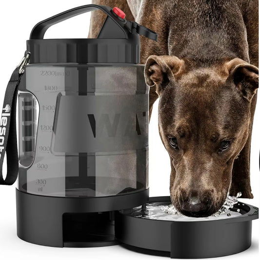 Water Bowl Dispenser