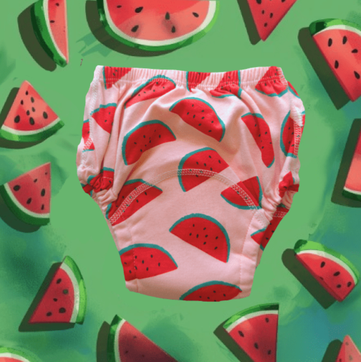 Potty Training Underwear