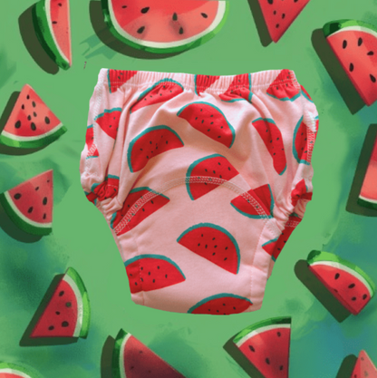 Potty Training Underwear