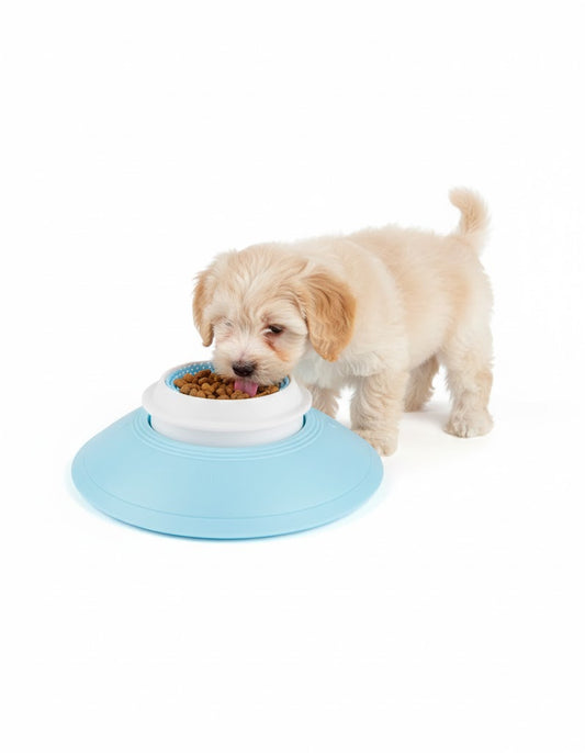Anti- Anxiety Dog Bowl