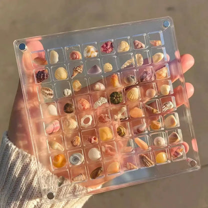Magnetic Seashell Display Box